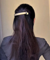 arnew hair claws Lucent Metal hairclaw (2 in 1set)